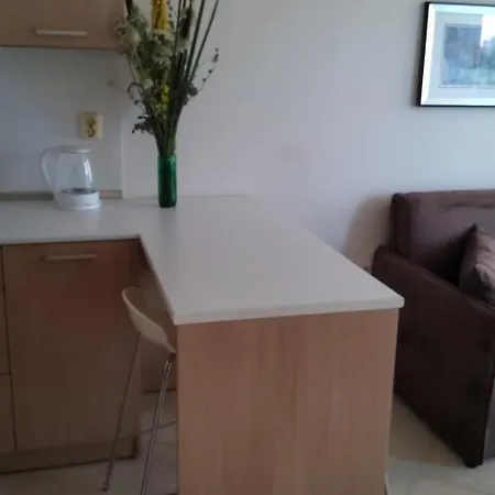 Four-bed In The Emberli. Апартаменты Лозенец