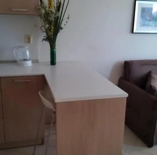 Four-bed In The Emberli. 아파트 로제넷츠